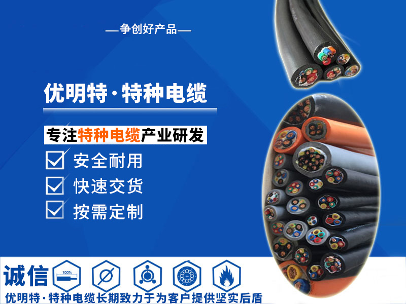 特种电缆.jpg