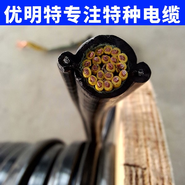 RVV2G电缆,KVVRC电缆,电动葫芦电缆